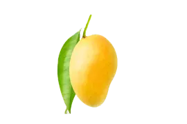 Mango Image